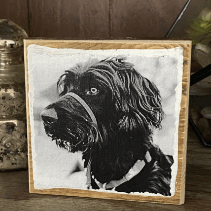 4X4 BLACK AND WHITE PHOTO BLOCK